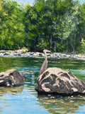Alderwood Creek