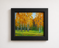 Gold Birch