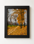 Fall Beauty