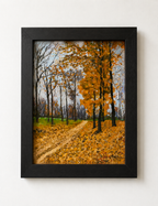 Fall Beauty