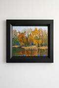 Fall Harmony